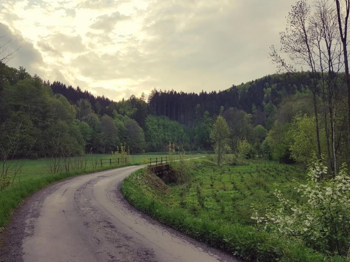 Schupplerova Vila Hostejn Экстерьер фото