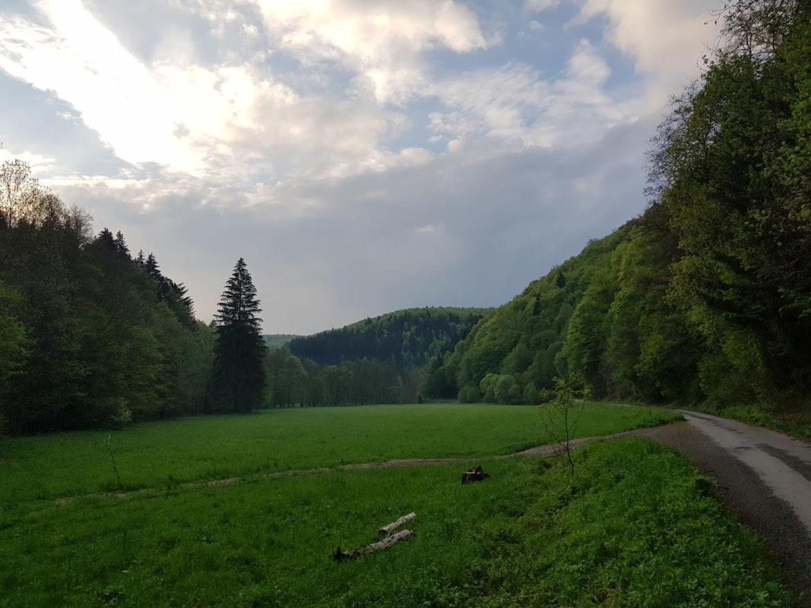 Schupplerova Vila Hostejn Экстерьер фото
